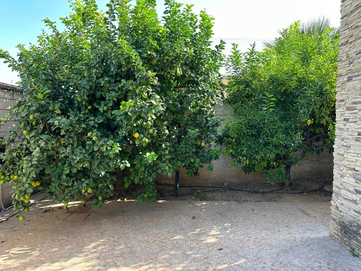 Casa Peseta, Casa Rural Daire Vallada Dış mekan fotoğraf